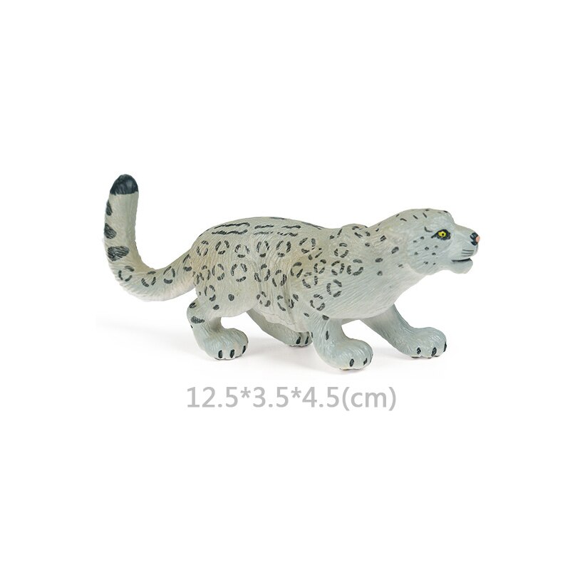 Wild Jungle Zoo Animal Model Malayan Tapir Anteater Koala Pangolin PVC Collection Model Action Figure Kid Educational Toys: Snow Leopard