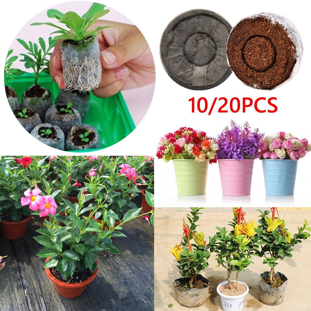 10/20pcs Seedling Trays Jiffy Peat Pellets Seedling Soil Block Starting Plug Seed Starter For Gardening Starting Germination Box