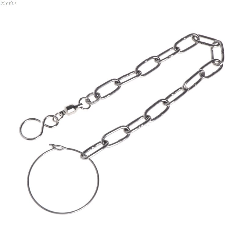 Parrot Leg Ring Bird Ring Outdoor Flying Training Activity Opening Foot Ring Accessories Pigeon Supplies