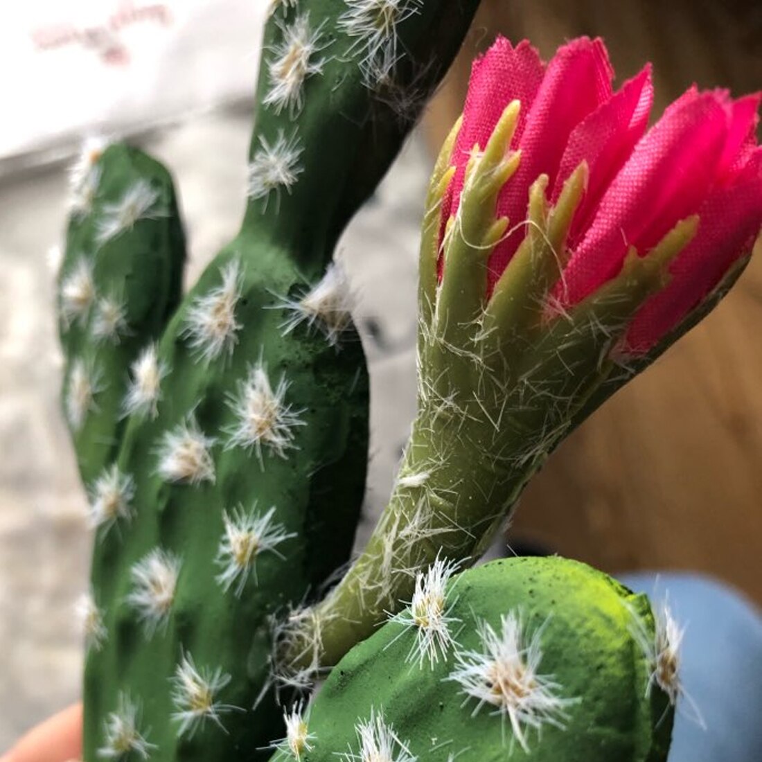 Plastic PU Artificial Cactus Succulents Prickly Pear Potted Plant no Pot Eco-Friendly Simulation Home Office Desktop Decoration