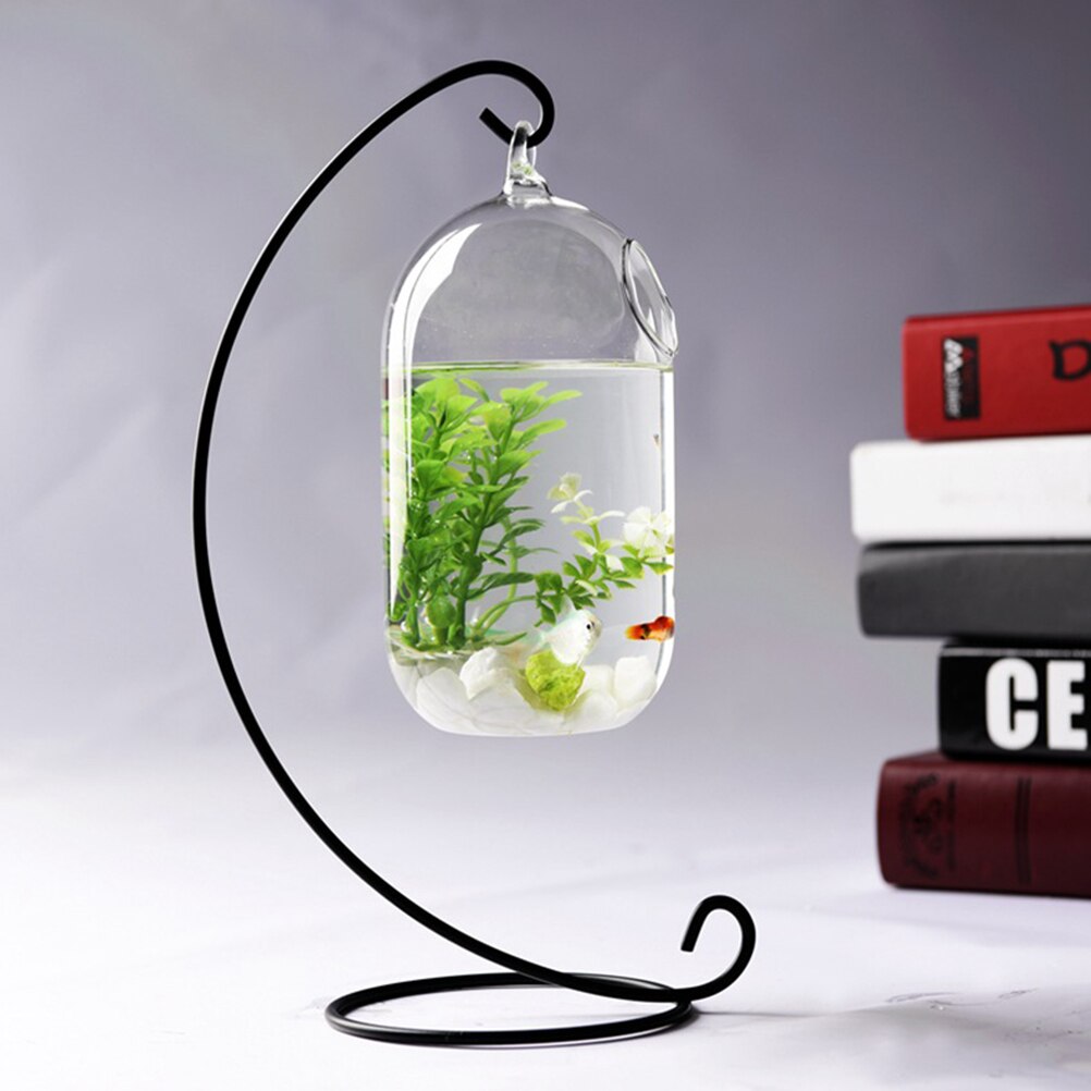 Curated visual reference: Gallery Detail: 15Cm Suspended Transparent Hanging Glass Fish Tank