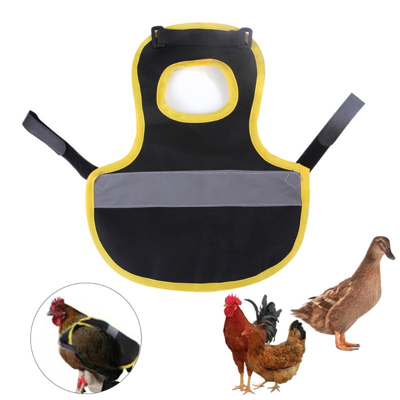 Høne forklæde kylling and vest vest fjerkræ tøj høne sadel forklæde fjer beskyttelse holder enkelt rem vingebeskytter  c42