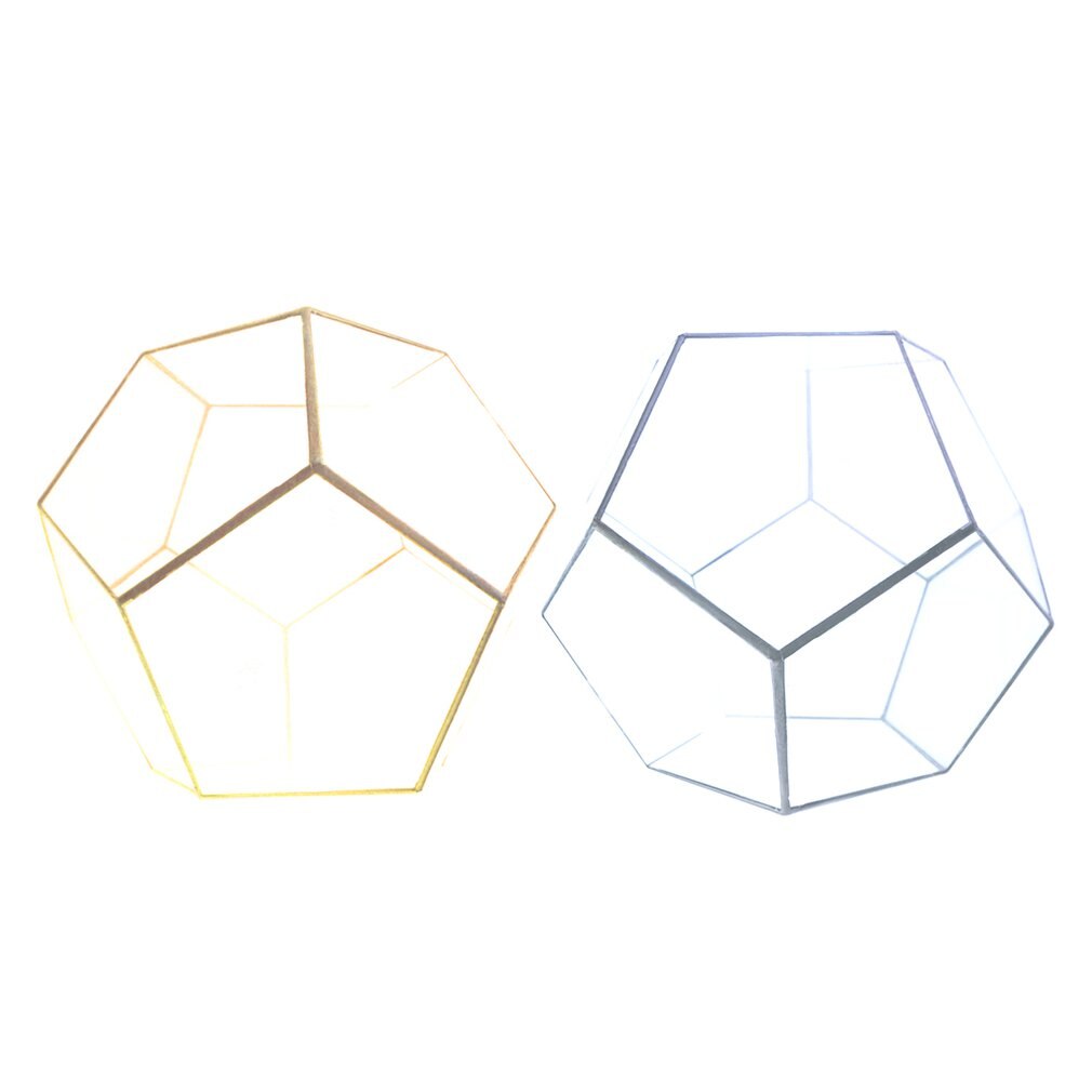 Dodecaëder Glas Kas Groene Plant Transparante Creatieve Mos Micro Landschap Vlezige Bloempot