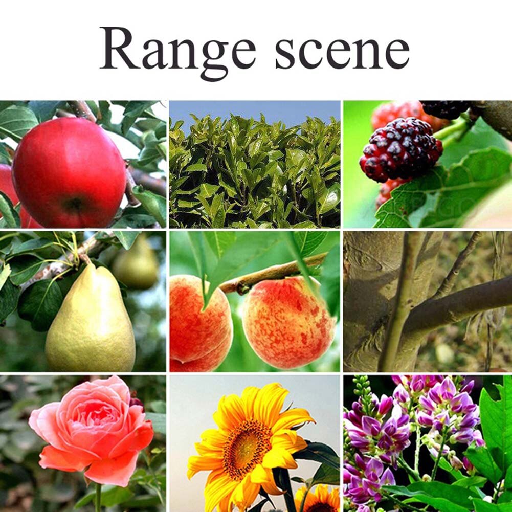 Bonsaï outil bouche droite arbre fruitier ciseaux verger diluer fruits ciseaux outil de jardinage LB88