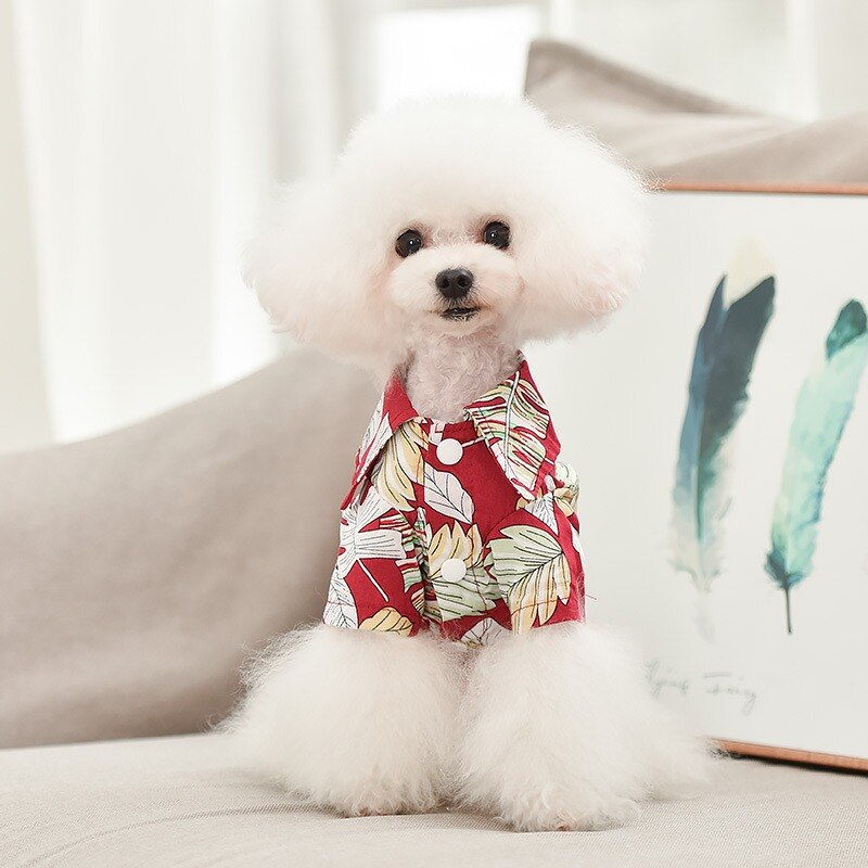 Summer Dog Clothes Vest Shirt Summer Cute Dogs Clothes for Small Dog Accessories Clohtes French Bulldog Pomeranian Pug