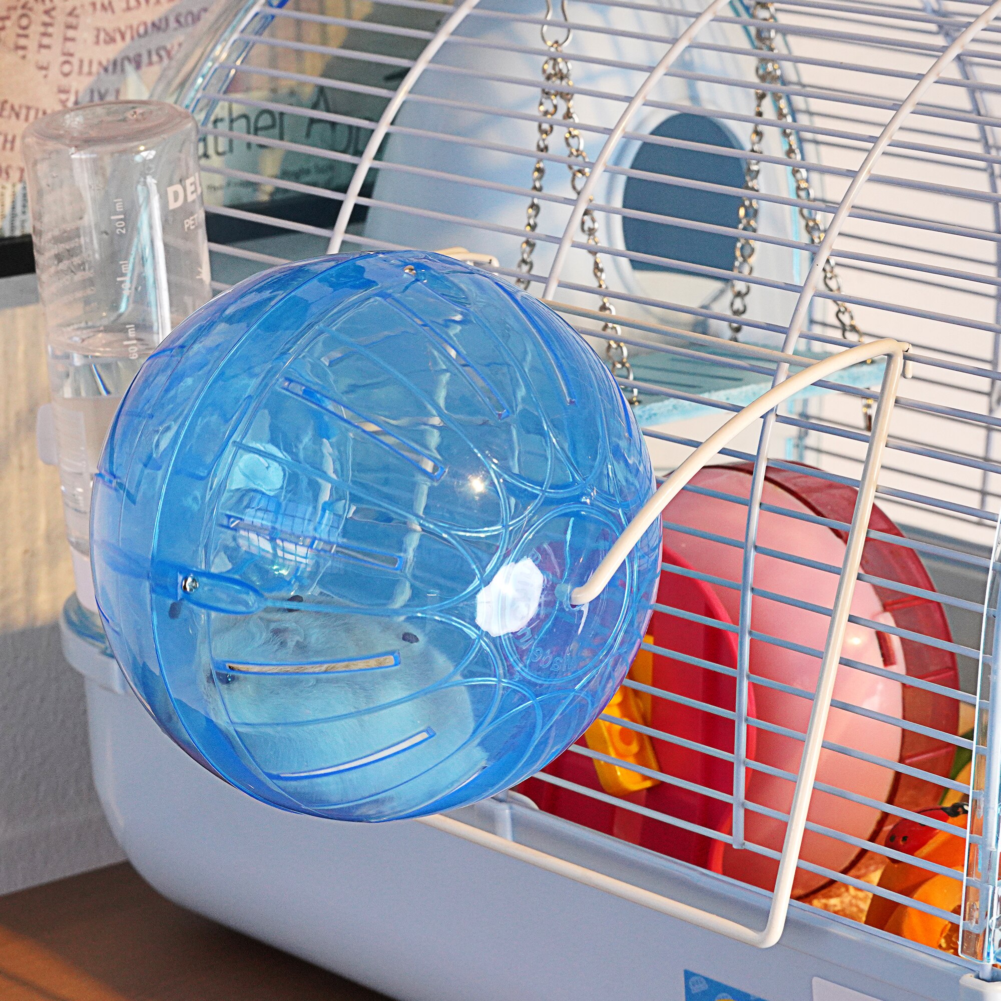 Bola de Ejercicio de hámster con Soporte 11.5cm (Color Aleatorio) Rueda de Ejercicio Multifuncional Animales Pequeños para Hámster Sirio Hámster Enano Ratones Jerbos Seda Dorada Oso Shih Tzu