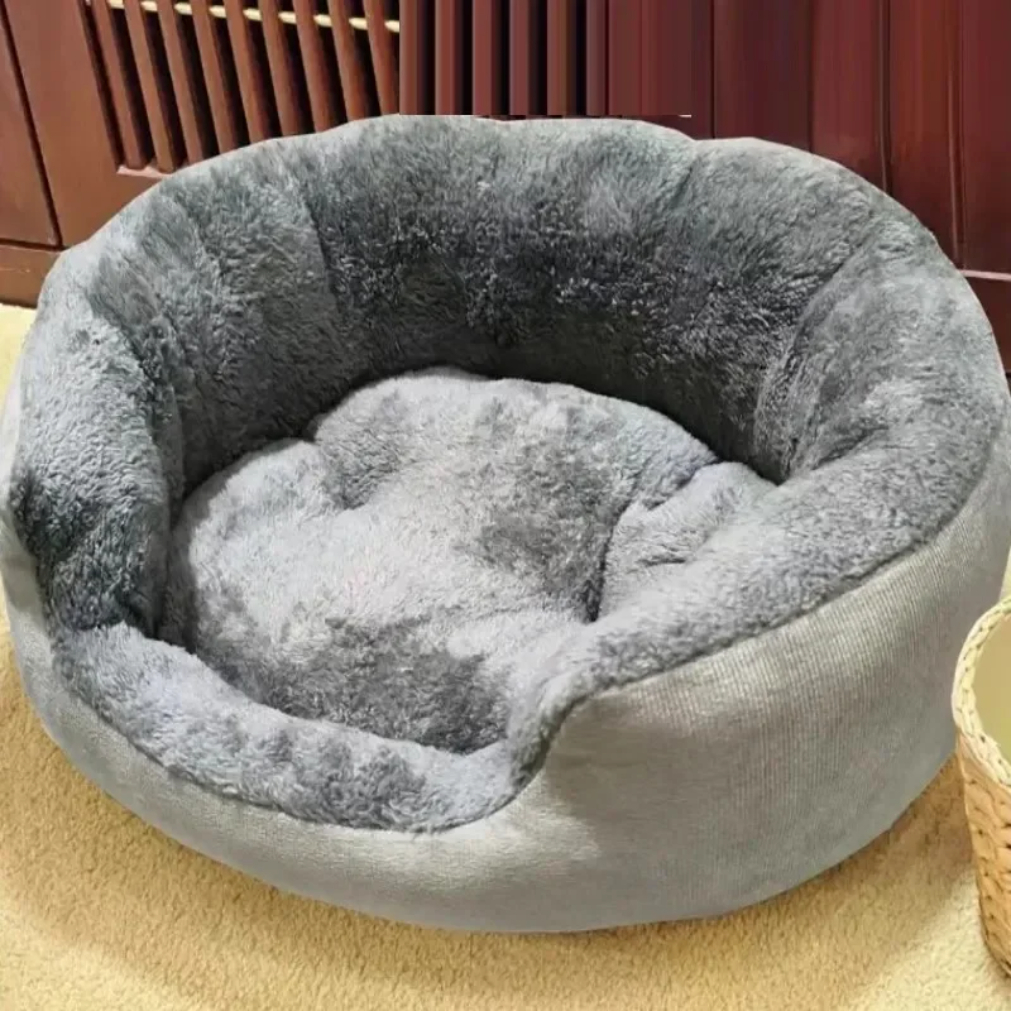 bettex hundebett Hundebett fr Dackel und kleine Hunde Velvet Oyster