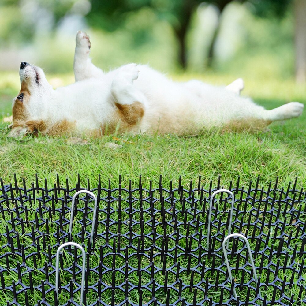 10Pcs Anti-Cats and Dogs Gardening Supplies Outdoor Garden Supplies Garden Prickle Strip Mat Spike Portable