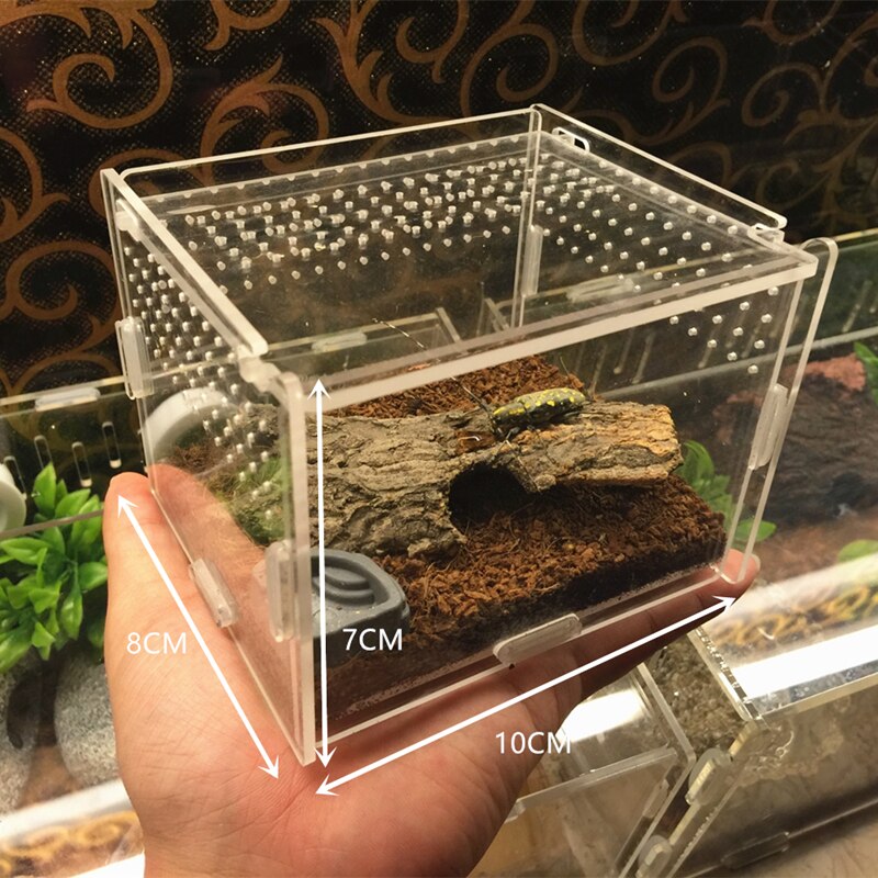 Transparent Acrylic Box Terrarium for Reptile and Amphibian Cricket Turtle Spider Snail Glass Shelter Terarium Terraria Gecko