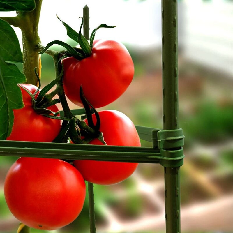 25 Pack Garden Stakes Metal Plastic Coated Plant Cage Supports Climbing for Tomatoes,Trees,Cucumber,Fences,Beans,40cm