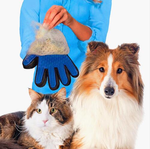 Guante cepillo de pelo para perros y mascotas, cepillo de pelo para limpieza de animales, cepillo de pelo para perros y gatos domésticos TP
