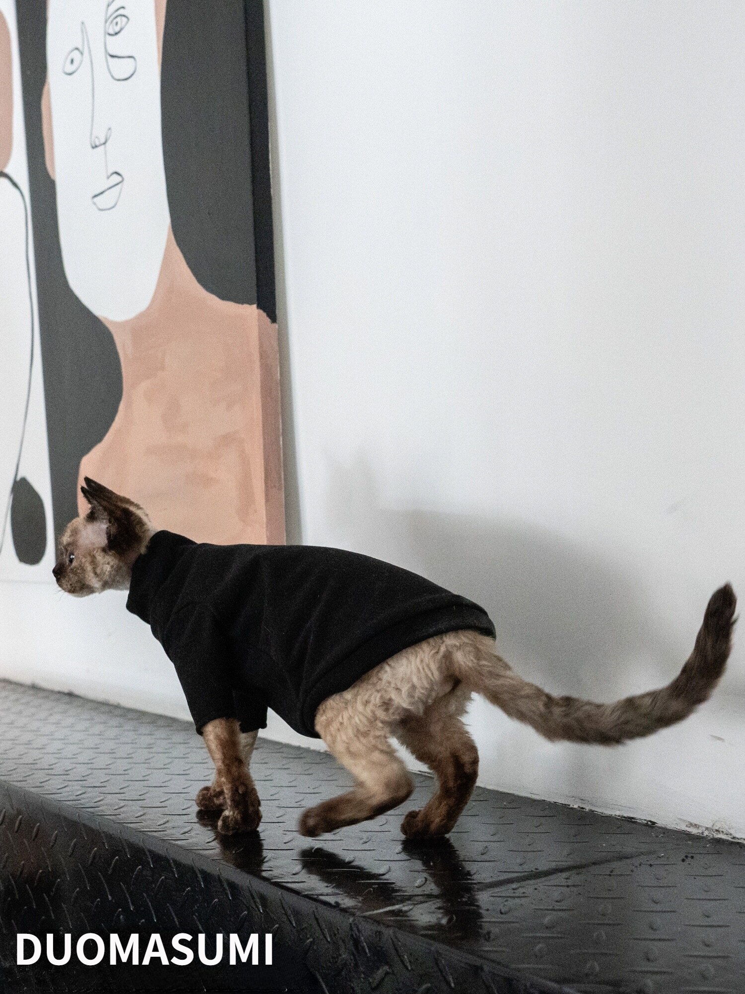 STOCK CLEAN Hairless Cat Clothes Warm Winter Thick Cat Clothes Cationic Self-heating,Sphynx,Devon Cat Clothes