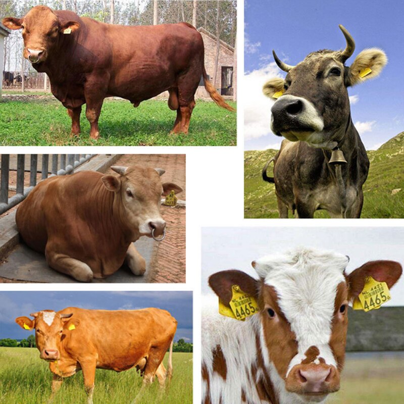 100Pcs Farm Livestock Cattle Ear Tag No. 001-100 Cow Ear Signage Tag Copper Head Earrings Animal Digital Identification Card
