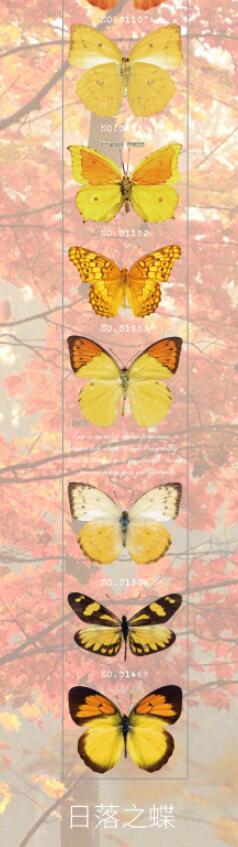 Vlinder Collector Series Leuke Dromerige Washi Masking Tape Stickers Bloem Scrapbooking Briefpapier Decoratieve Lange Strip Tape: 4