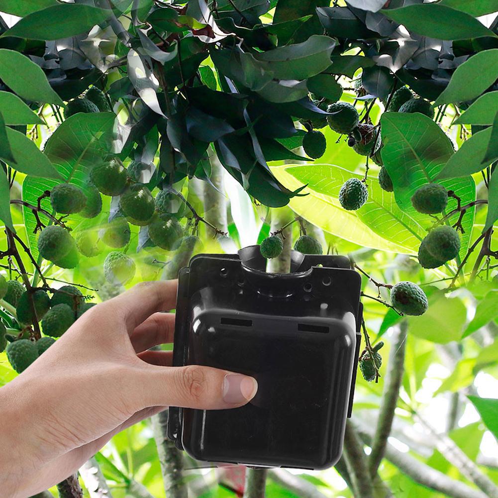 3/5 Pcs Plant Rooting Box Grafting Rooting Growing Box Breeding Case for Garden Plant high-pressure propagation boxes Sapling