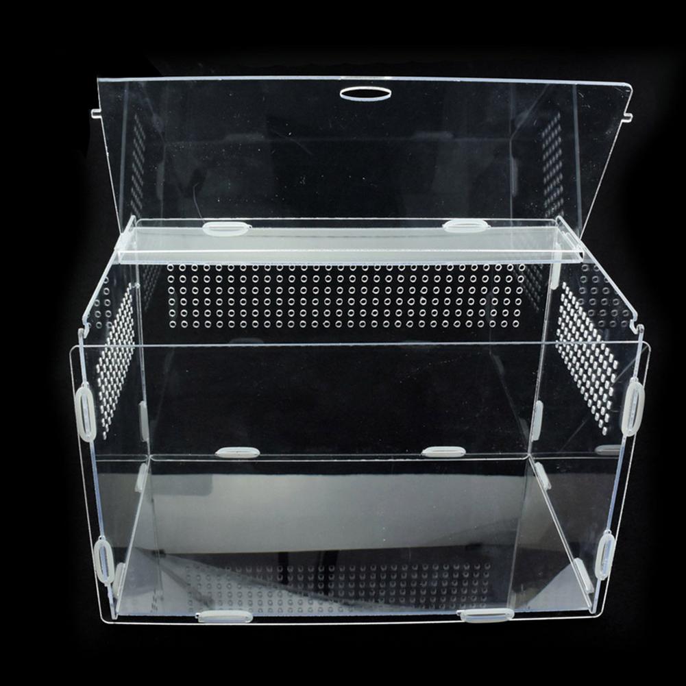 ! Transparent Reptile Breeding Box Reptile Breeding Box Acrylic Feeding Box For Spider Lizard Frog Cricket Turtle