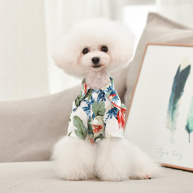 Zomer Huisdier Katoenen Kleding Hond Beach Palm Bloem Gedrukt T-shirt Kleine Medium Puppy Katten Apparel Supplies Chihuahua Teddy Outfits: green / XL