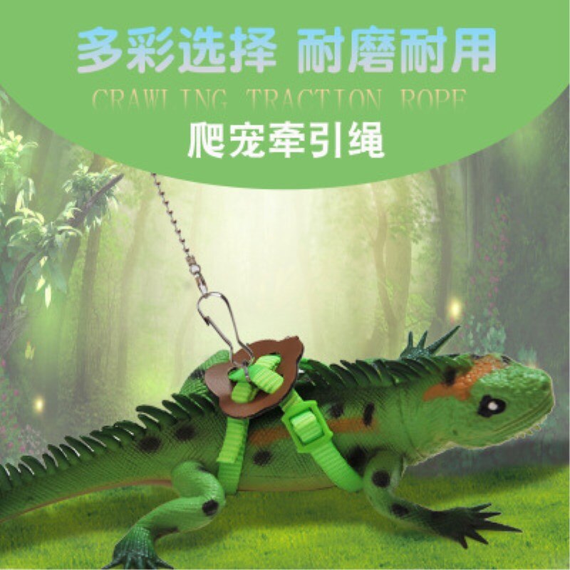Lizard traction rope Pet traction rope with flying rope Parrot squirrel squid rat traction strap