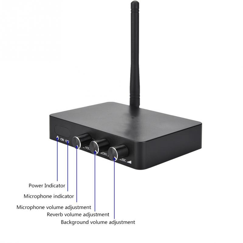 Handheld Mini Home KTV Wireless WIFI Karaoke Machine with Two Microphone Metal Mesh Protection Net