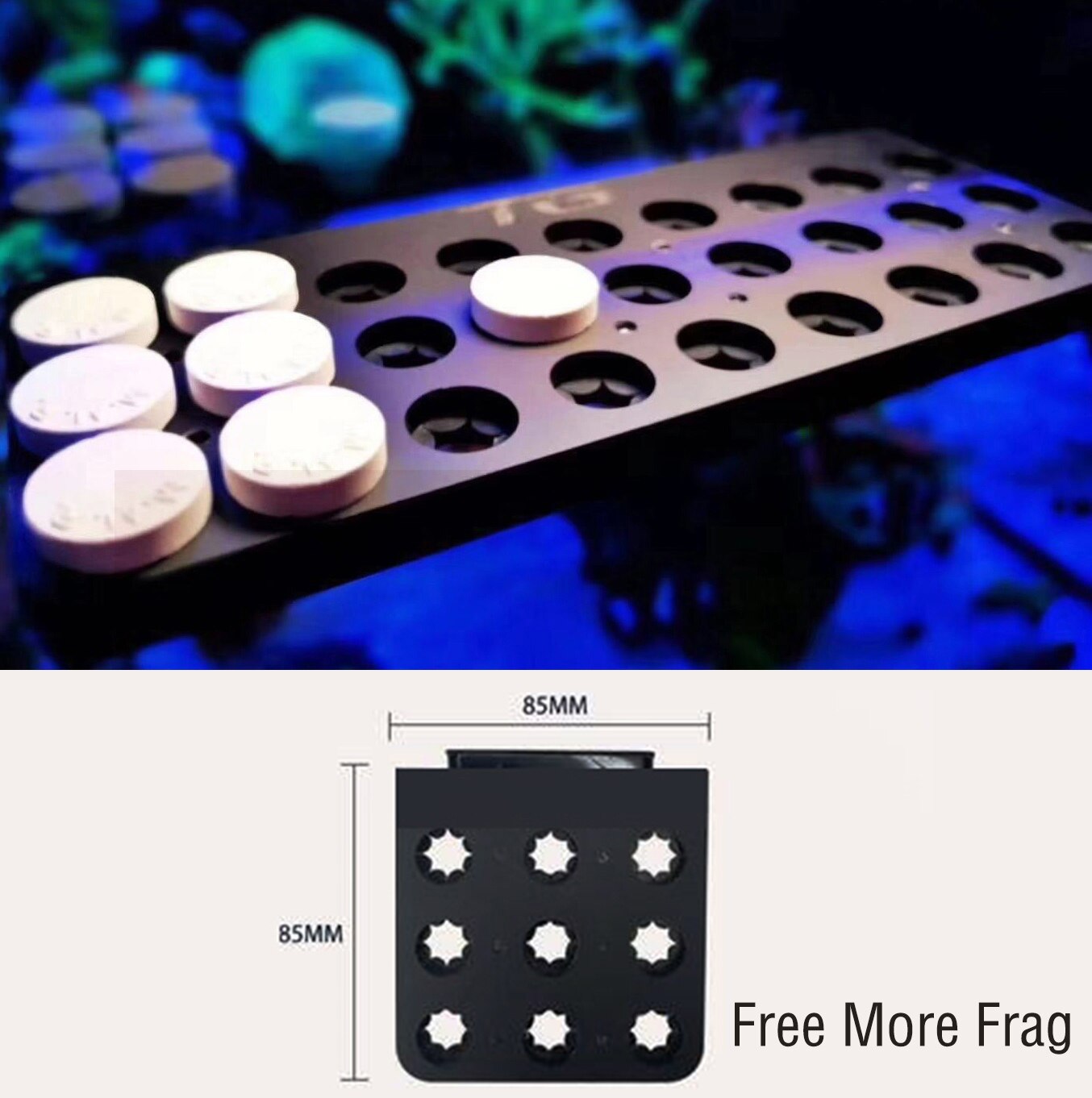 DW Aquarium WWC Style Special Acrylic Magnetic Coral Frag Plugs Rack Holder Fish Tank Collapsible Angle Adjusting Bracket Rack: S    12mm thick