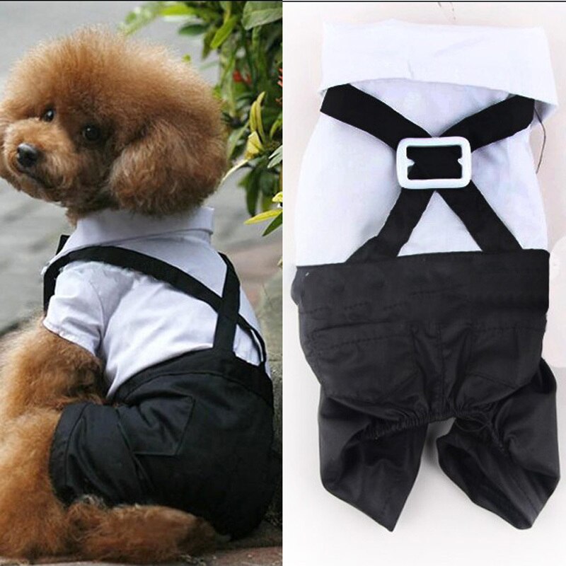 Kæledyr hund romper kat tøj gentleman suit smoking bow tie kostume jumpsuit shirt s-xl