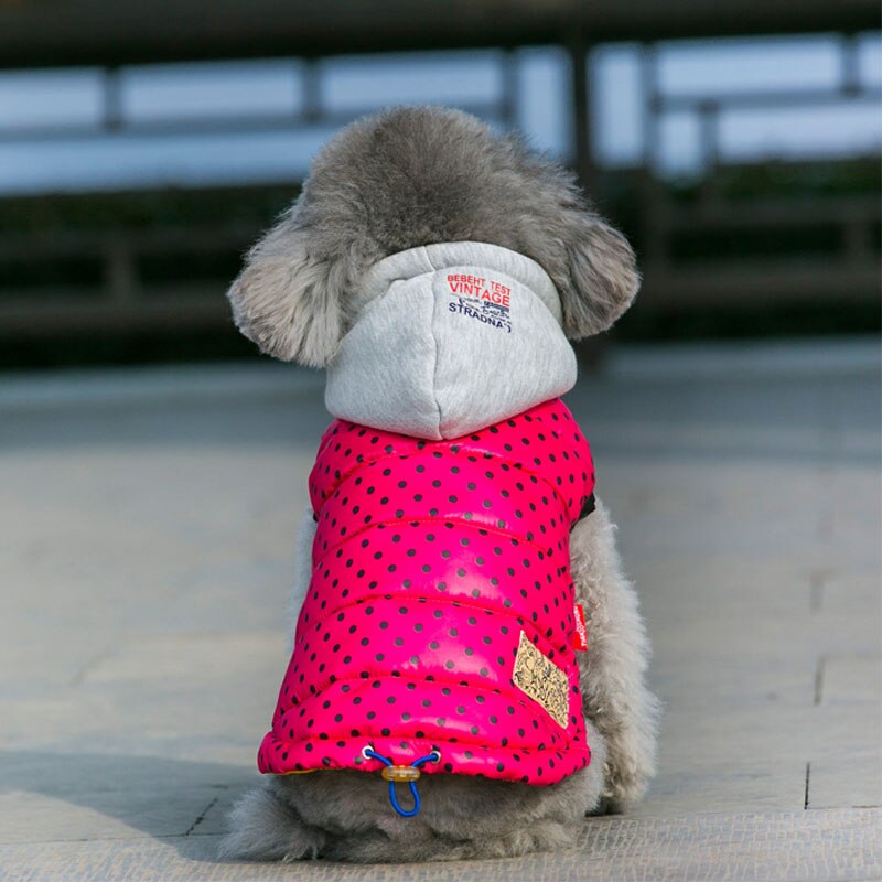 Vinter Varm Hundekläder för Liten Hund - Vattentät Jacka med Prickar - Hundkläder för Chihuahua: Rosa / Xs