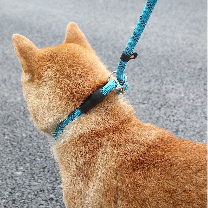 Reflecterende P Keten Hondenriem Slip Halsband Pet Wandelen Leads Nylon Lange Hond Touw Zachte Dubbele Handvat Voor Medium Grote honden Benodigdheden