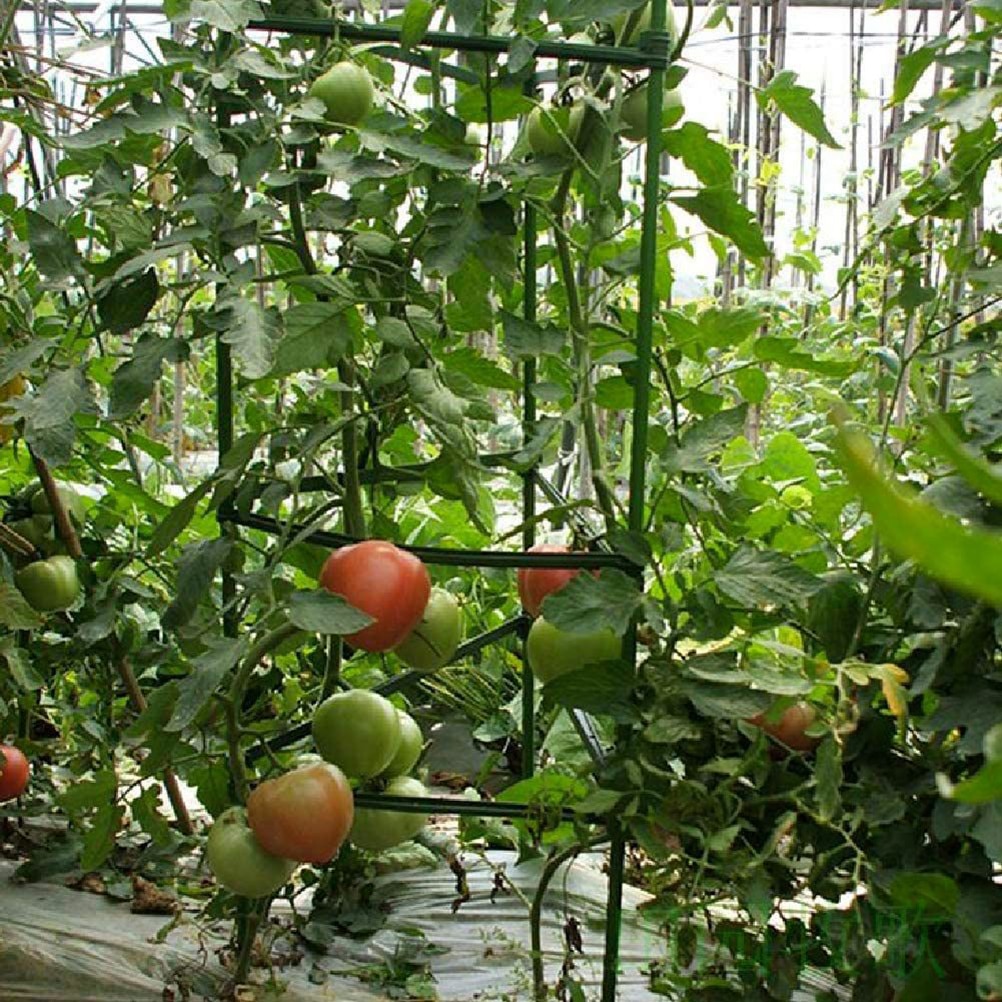 12 Stuks Garden Plant Ondersteuning Connector Vegtables Bloemen Tomaat Plant Stand Plastic Stake Armen Tomaat Kooi