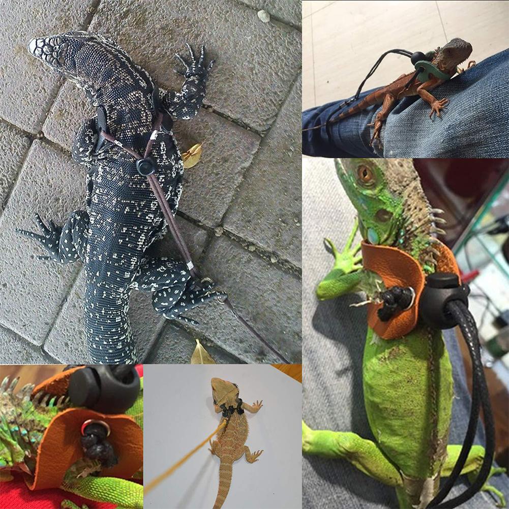 Lizard Leach Leather Adjustable Reptile Lizard Harness Leash Co... – Grandado