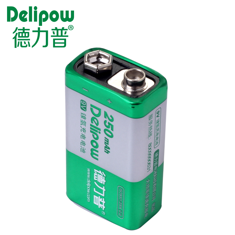 Delipow batterij 9 V echt grote capaciteit 9 negen volt oplaadbare batterij 250 Ma 9 volt batterij 9 V Oplaadbare ion Cell