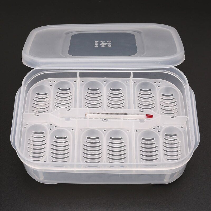 Reptile Egg Incubator Tray With Thermometer Incubating Snake Egg Incubation Tool