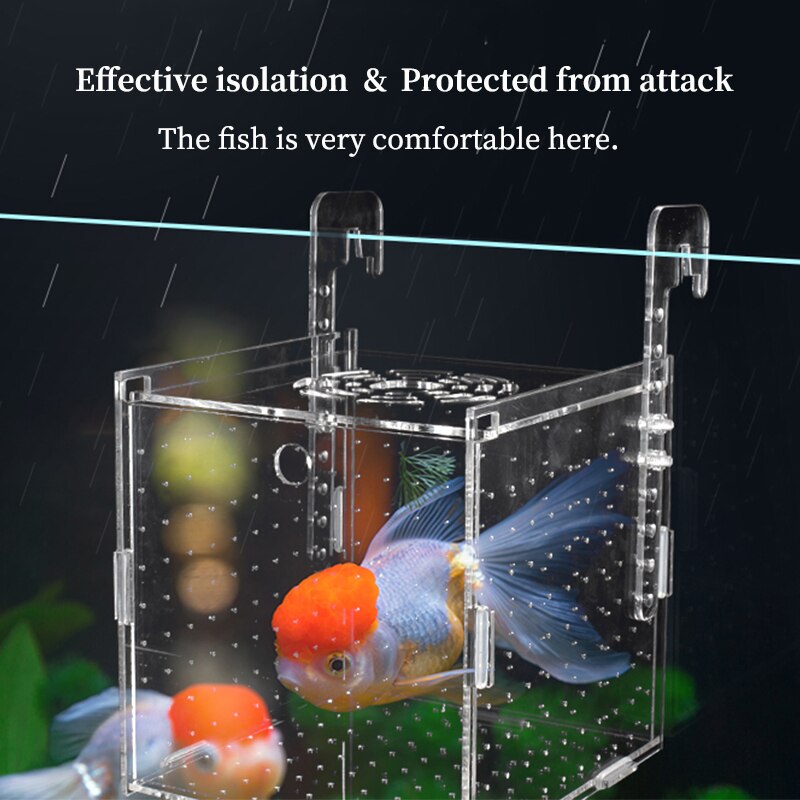 Aquarium Isolation Kasten Aquarium Kleine Braten Zucht Kasten Multifunktionale Laichen Brut Zimmer Aquarium Zubehör Fisch Supplie