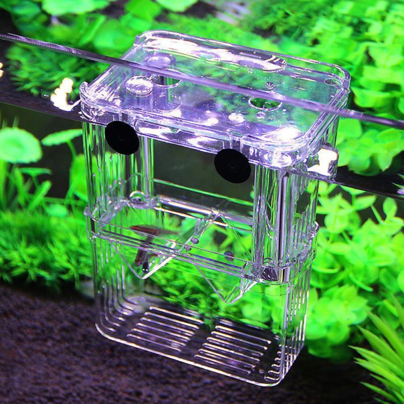 Multifunctionele, heldere isolatiebox voor het kweken van vissen, aquarium, kweekbak, dubbele guppy's, broedstoof