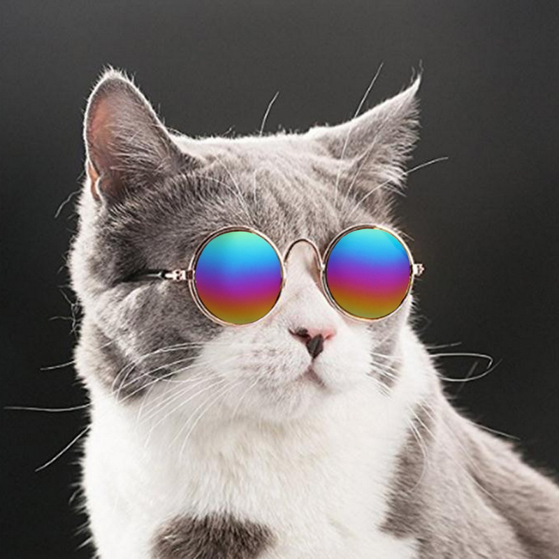 1pc søde runde briller lille kæledyr hund kattebriller solbriller øjenbeskyttelse kæledyr seje briller kæledyr fotos rekvisitter 8 farver