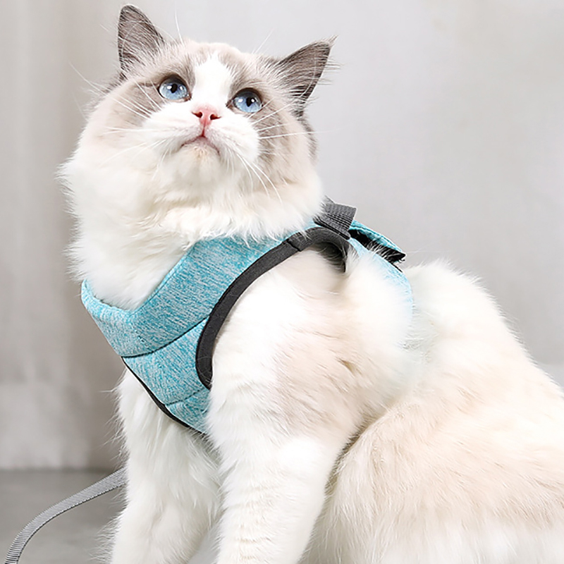 Cat Adjustable Chest Strap Cat Harness Escape Proof Small Cat Dog Vest Harness With Strap Soft Mesh Walking Jacket for Kitten