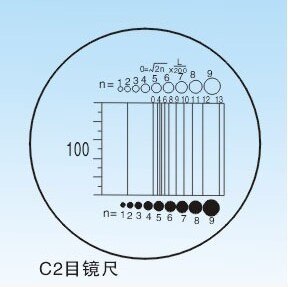 Diameter 19mm Microscope Slides Reticle Calibrating Slide Ruler Microscope Calibration Ruler Stage Micrometer: C2