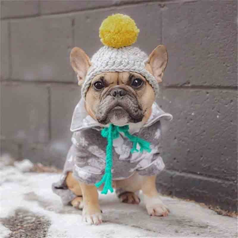 Søt linje ball form kjæledyr katt hund fest kostyme antrekk for bulldog vinter varm hund morsom katt pet lue cap