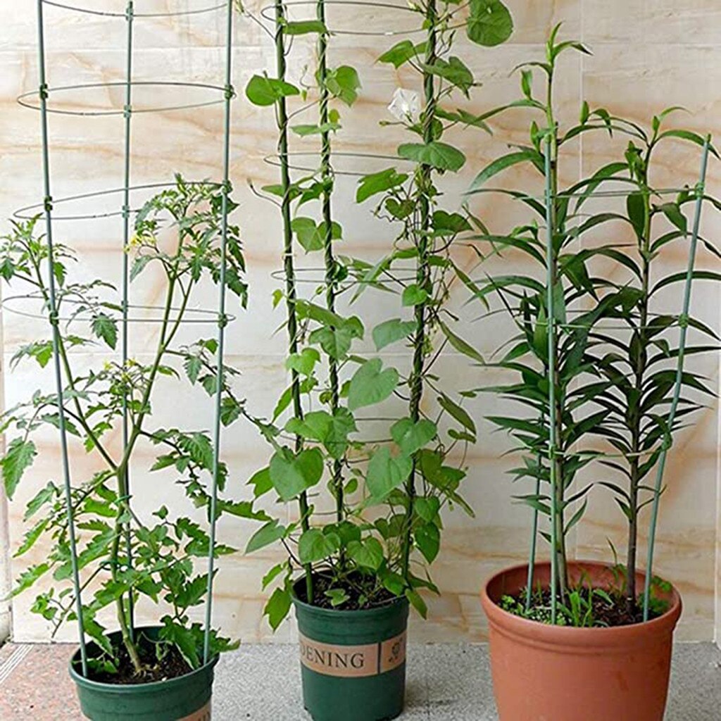 Undefined Plant Support Stakes, Garden Single Stem Support Stake Plant Cage Support Rings For Amaryllis Tomatoes Orchid