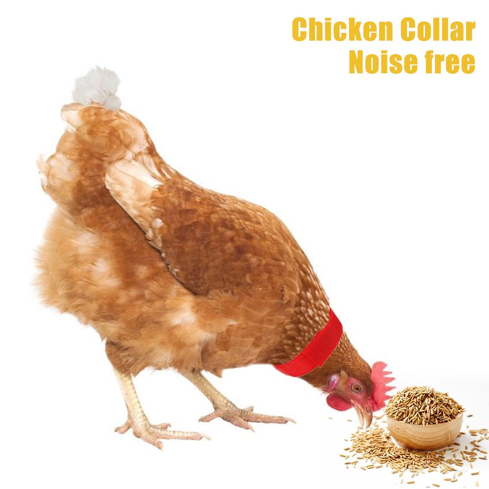 2PCS Chicken Collar Anti-Hook Noise Free Neckband Collars 18*2cm My Pet Chicken No-Crow Rooster Collar Supplies