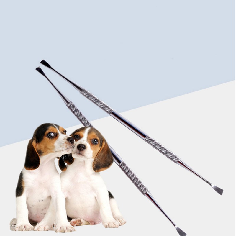Stainless Steel Double Ended Dental Calculus Removal Tool Tooth Scaler For Dogs And Cats