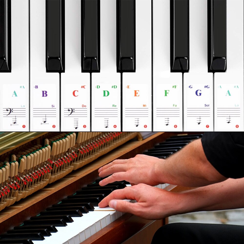 88/61/54/49 Transparent Piano Keyboard Stickers Electronic Keyboard Key Piano Stave Note Sticker Symbol for White Keys Sticker