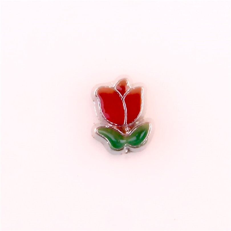 20Pcs/Lot Mix Styles Flowers Charms Making Cactus Rose Plant Floating Charms Memory Glass Locket Jewelry Diy: F305