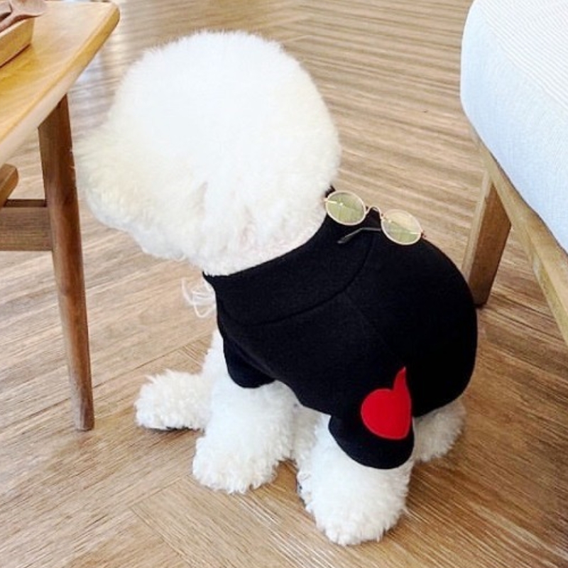 Sudaderas con capucha de para perros pequeños, suéter sólido para cachorros, sudaderas suaves para gatos, sudadera para mascotas, ropa para Chihuahua, otoño: S / Verde