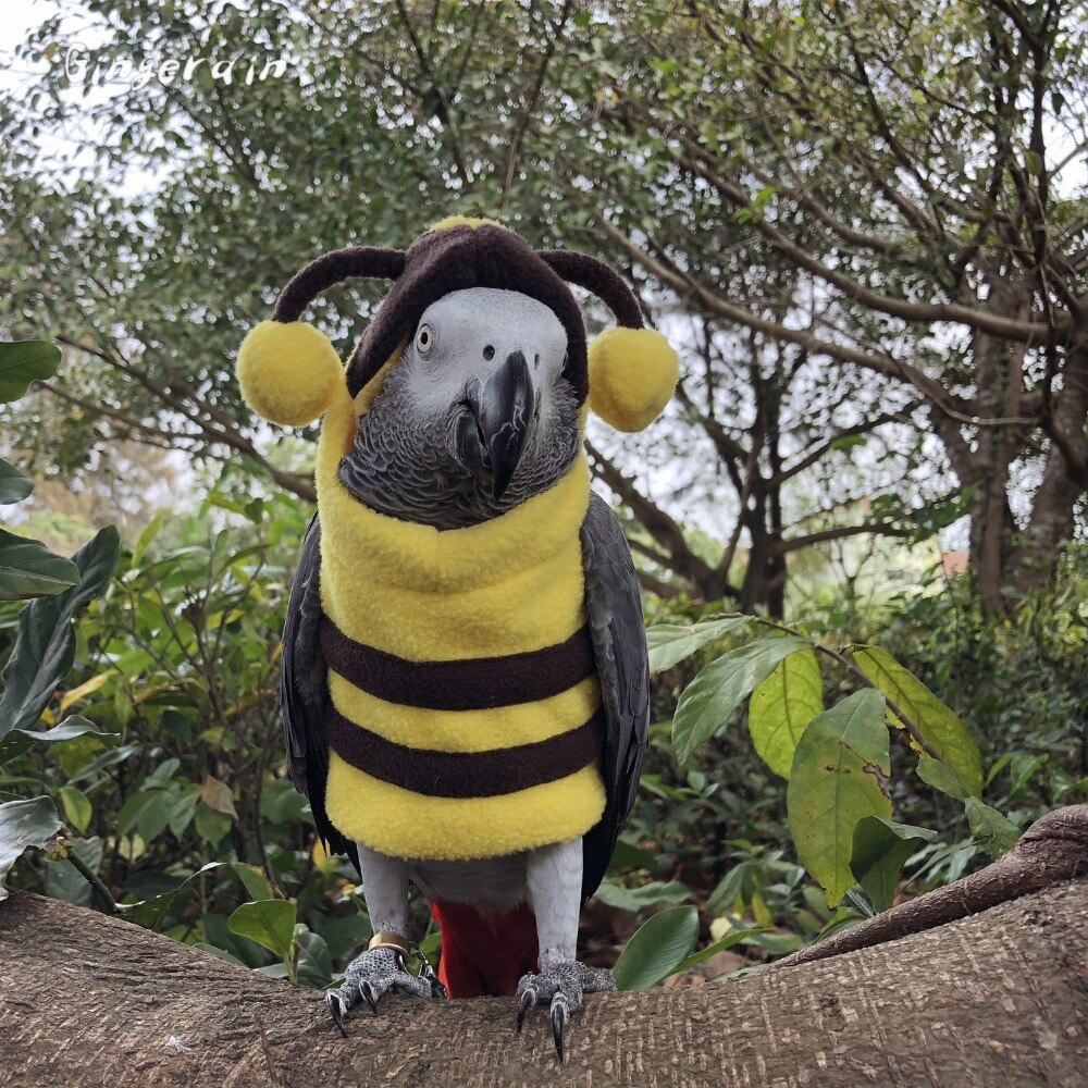 Gingerain Bird clothes Parrot clothes red scarf original hand-made custom bird clothes Hooded Sweater apis florea