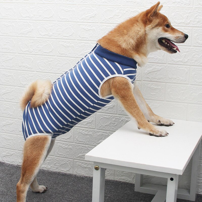 Hund Kleidung Haustier Sterilisation Chirurgische Kleidung Hohe Elastische Atmungsaktive Hund Entwöhnung kastriert Hund postoperativ Kleidung: Blau Weiß Streifen / XS