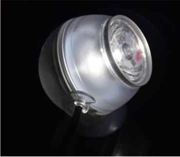 Mini Decorative Aquarium Led Lighting Waterproof Submersible Fish Tank LED Light Spotlight Lamp Aquarium Background: White