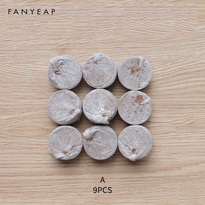 Nursery Pots Plant Seed Box Tray Insert Seeding Case Plastic Plant Seeds Growing Box Base Garden Grow Box: A 9PCS