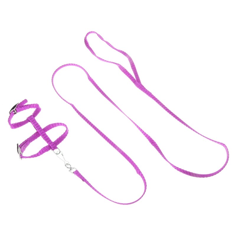 Arnés para erizo ajustable para entrenamiento juego cuerda de tracción para mascotas