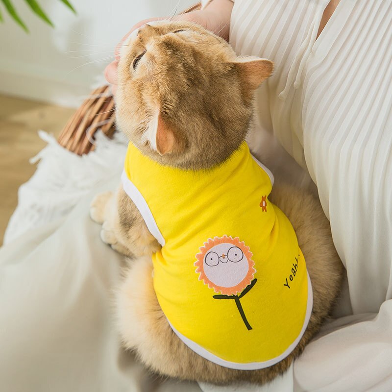 Vêtements mignons de chiot de dessin animé pour petits chiens, Costume de loisirs de printemps pour chat imprimé, vêtements pour animaux de compagnie pour teddy sport