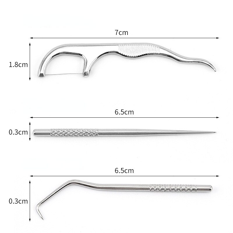 Portable Stainless Steel Toothpick Bag Set Reusable Metal Toothpicks With Holders For Outdoor Picnics And Camping Floss Dental